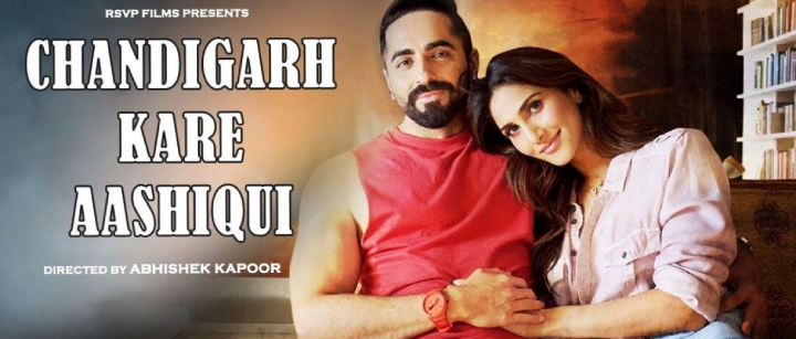 top-25-movies-with-a-special-message-that-you-need-to-watch-chandigarh-kare-aashiqui