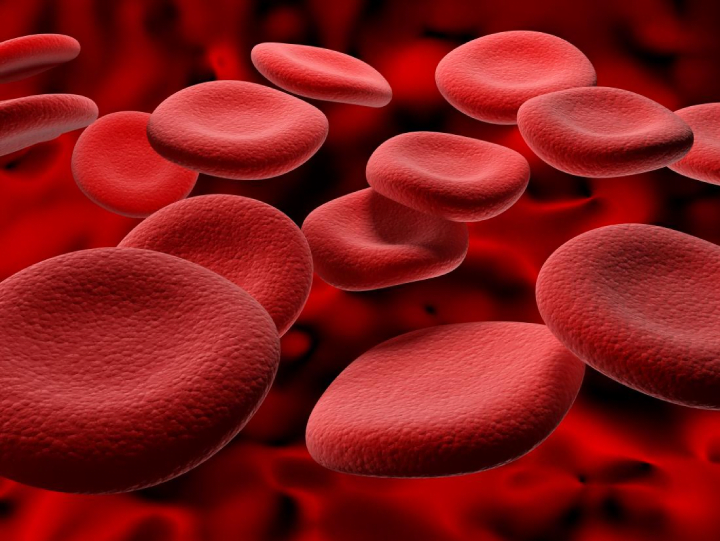 How To Increase Your Haemoglobin Level